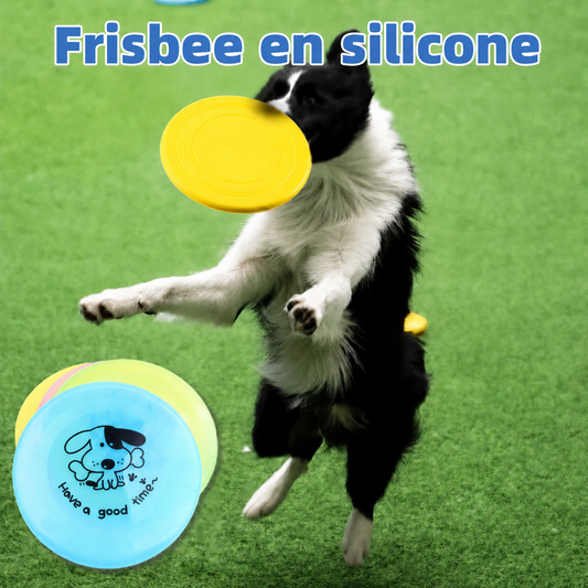 Frisbee