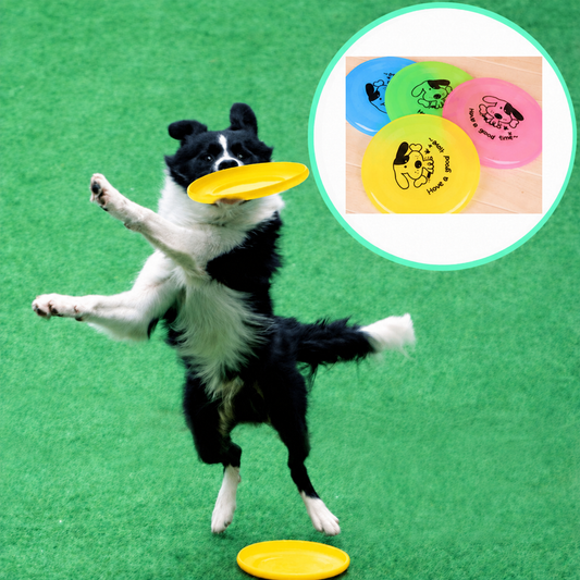 Frisbee