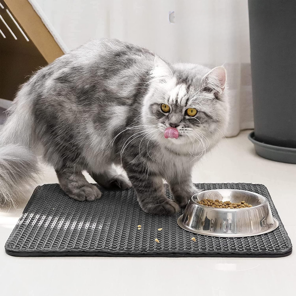 Un chat sur le tapis AbsorbLitière, devant son bac