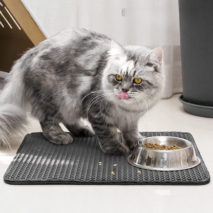 Un chat sur le tapis AbsorbLitière, devant son bac