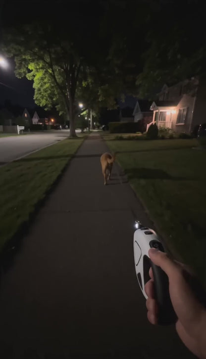 Promenade du soir avec le LumiToutou : le faisceau LED éclaire le trottoir devant le chien