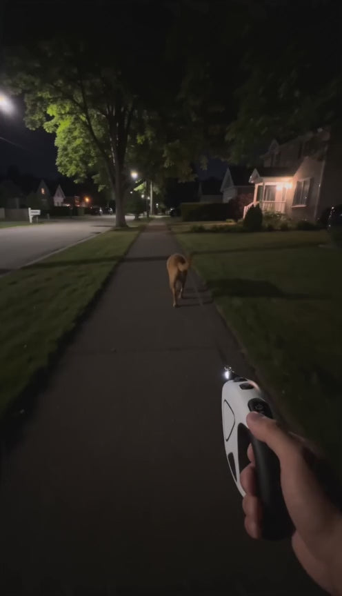 Promenade du soir avec le LumiToutou : le faisceau LED éclaire le trottoir devant le chien