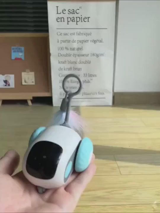 Le jouet CrazyMouse en mouvement, poursuivi par un chat